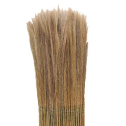 Balkonscherm Varen Ca. 100x300 Cm