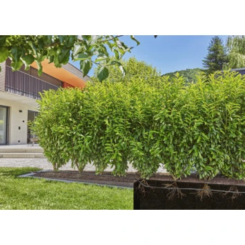 Gardena Micro Drip Druppelbuis Ondergronds En Bovengronds 25 Meter - Afbeelding 2