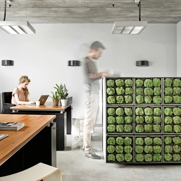 Muurhanger Verticaal Tuinieren - Afbeelding 4